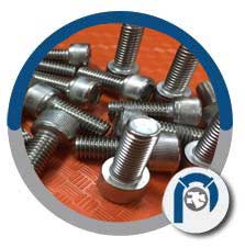 310 Stainless Steel Hex Cap Screws 310 Stainless Steel Hex Cap Screws