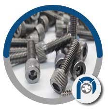 A193 B8C Socket Head Cap Screws