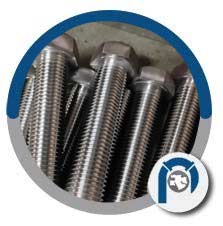 A4-80 Steel Heavy Hex Bolt A4-80 Steel Heavy Hex Bolt