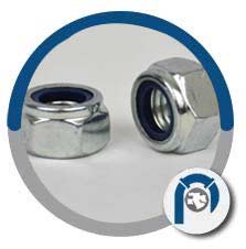 AISI 18-8 Nylon Insert Lock Hex Nuts AISI 18-8 Nylon Insert Lock Hex Nuts