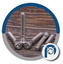 ASTM A193 B8T Socket Head Cap Screws