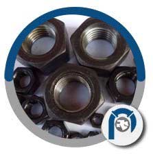 ASTM A307 Grade B Nuts ASTM A307 Grade B Nuts