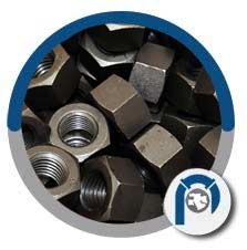 ASTM A563 Hex Nut ASTM A563 Hex Nut