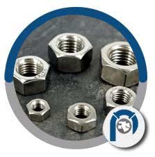 ASTM F594 Stainless Steel Heavy Hex Nut ASTM F594 Stainless Steel Heavy Hex Nut