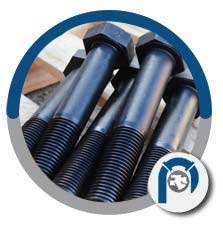 B16 Hex Bolts