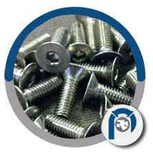 DIN 1.4539 Button Head Screws DIN 1.4539 Button Head Screws