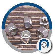 Grade 18-8 Nylon-insert Cap Locknut Grade 18-8 Nylon-insert Cap Locknut