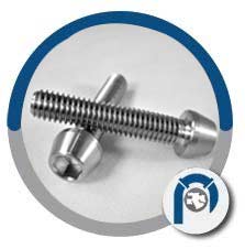 Grade 18-8 Tapered Socket Head Cap Screw Grade 18-8 Tapered Socket Head Cap Screw
