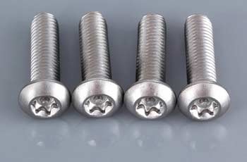 SS 17-4 PH Anti Theft Screws