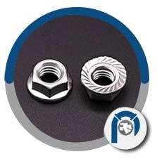 SS 18-8 Hex Flange Nut