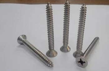 SS 410 Self Drilling Screw