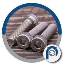 SS 904l Hex Cap Screws SS 904l Hex Cap Screws