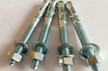 SS Flat Head Anchor Bolts