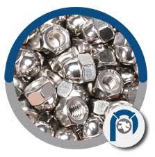SS Hex Acorn Nut SS Hex Acorn Nut