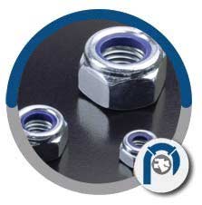 SS Hex Lock Nuts SS Hex Lock Nuts
