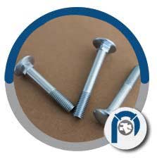 SS Round Head Oval Neck Carriage Bolt SS Round Head Oval Neck Carriage Bolt