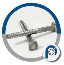 SS Square Head Coach Bolts SS Square Head Coach Bolts