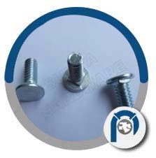 Stainless Steel Short Neck Carriage Bolt Stainless Steel Short Neck Carriage Bolt