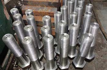 Stainless Steel 304 Bolts