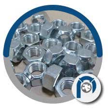 Stainless Steel 310 Hex Nuts Stainless Steel 310 Hex Nuts