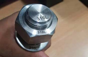 Stainless Steel 316L Nut And Bolt