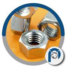 Stainless Steel 904L Hex Nuts Stainless Steel 904L Hex Nuts