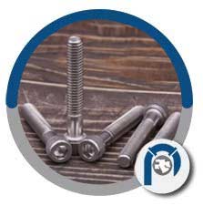 Stainless Steel A4 Socket Cap screws Stainless Steel A4 Socket Cap screws