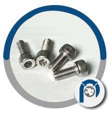 Stainless Steel Grades 18/8 Sealing Socket Head Screws Stainless Steel Grades 18/8 Sealing Socket Head Screws