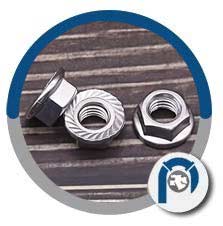 Stainless Steel Hex Flange Nut Stainless Steel Hex Flange Nut
