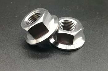 Stainless Steel Hex Flange Nut