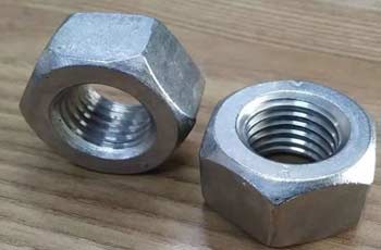 Stainless Steel Hex Nuts