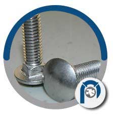 Stainless Steel Ribbed Neck Carriage Bolts Stainless Steel Ribbed Neck Carriage Bolts