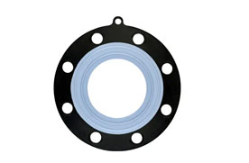 PTFE Gasket