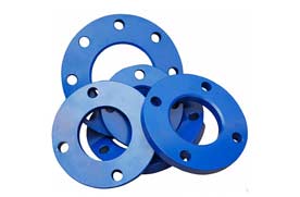 FBE Coated Flanges
