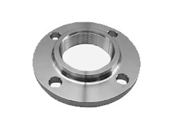 Stainless Companion Flange