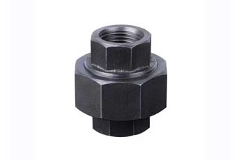 ASTM A105 Union