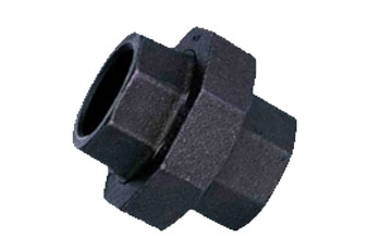 ASTM A350 LF2 SW Pipe Union