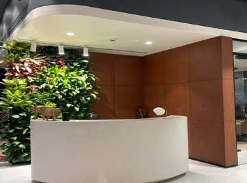 Reliance Brands Limited BKCMM Reception (Mumbai)