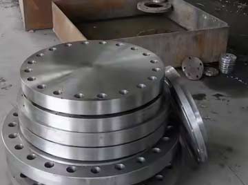 Hastelloy Flanges Manufacturer in India