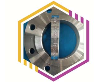 Low Alloy Steel Slip On Flanges