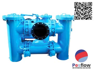 Manufacturer of Duplex Strainer Manufacturer of Duplex Strainer