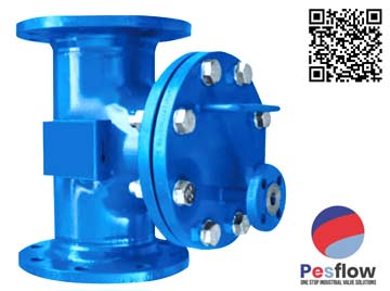 Manufacturer of T Type Strainers in India Manufacturer of T Type Strainers in India