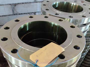 Tagging on SS SORF flange