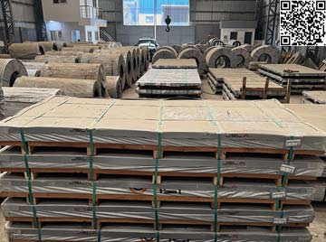 Sun International Factory Tour