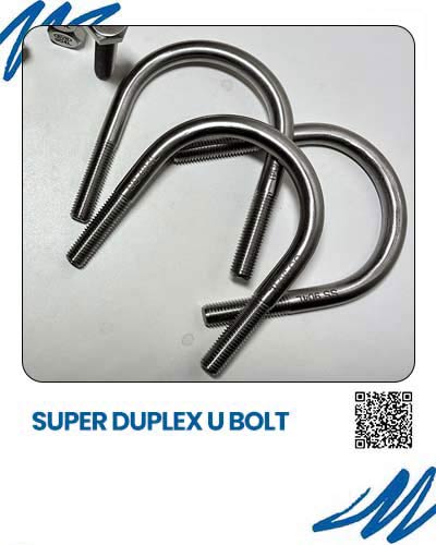 Super Duplex U Bolt