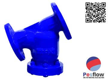 Y Type Strainer Manufacturer Y Type Strainer Manufacturer