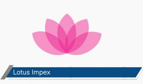 Lotus Impex